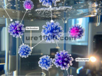 Aplikasi multifungsi dari nanocluster isostruktural Novel LnIII (DyIII dan GdIII) yang dirakit sendiri: Magnetisme Molekul Tunggal dan Agen Kontras MRI