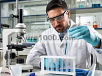 4-Aryl-1,2-Dithiolanes yang bersumber secara hayati untuk Poli(disulfida) yang Dapat Didaur Ulang dengan Kinerja Tinggi