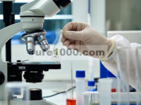 Transformasi Fase Cepat Diaktifkan oleh MoS 2 Kaya 1T Atom Tunggal Cu untuk Penyimpanan Ion Magnesium yang Efisien