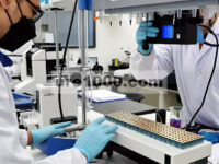 Memungkinkan Reversibilitas Tinggi Redoks Kationik dan Anionik pada Katoda Oksida Berlapis melalui Topologi Superlattice NiMn 6 untuk Baterai Ion Natrium