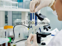 Sistem Hidrogel Nanokomposit yang Dapat Disuntikkan untuk Perbaikan Tulang Rawan Berbasis miRNA pada Osteoartritis Lutut