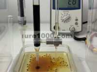 Kemajuan Terbaru dalam Sel Biofuel Berbasis Enzim Menggunakan Bahan Bakar Glukosa: Mencapai Output Daya Tinggi dan Stabilitas Operasional yang Ditingkatkan (Adv. Funct. Mater. 16/2025)