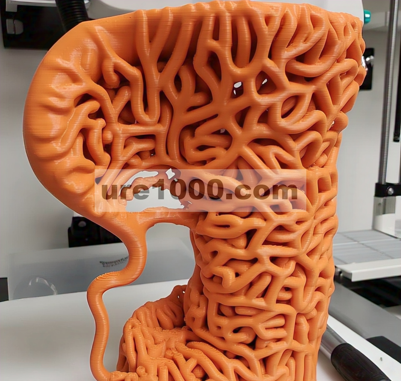 Usus Trikultur Hibrida Hasil Cetak 3D dengan Struktur Jaring Tabung (Adv. Funct. Mater. 16/2025)