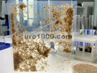 Membran Nanolaminasi Vermikulit 2D untuk Nanofiltrasi Pelarut Organik yang Efisien (Adv. Funct. Mater. 16/2025)