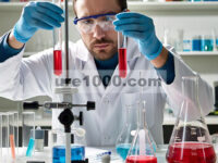 Arilasi Reduktif Enantioselektif Katalitik dan Alkenilasi Sulfinilamina untuk Mengakses Sulfinamida yang Diaktifkan oleh Katalisis Kobalt