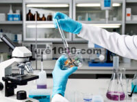 Menggabungkan MXene dalam Perovskite untuk Modulasi Migrasi Ion dan Peningkatan Deteksi Objek